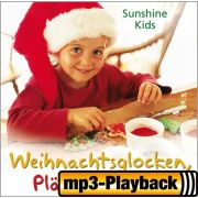 S-O-S Weihnachtsstress (Playb.o.Backings)